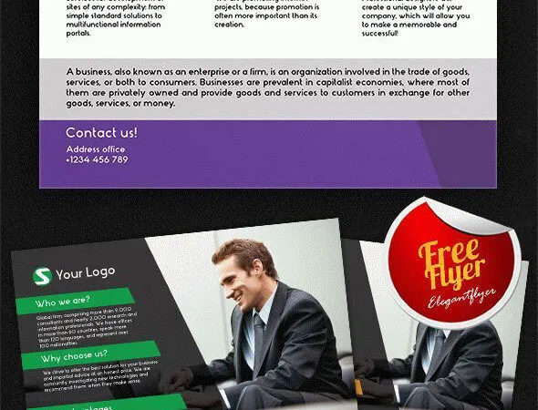 Infographic and Professional Business Flyer Template Plus a Facebook Cover 1