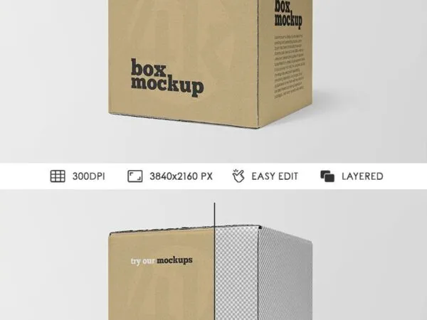 Large Cardboard Square Box Mockup 1