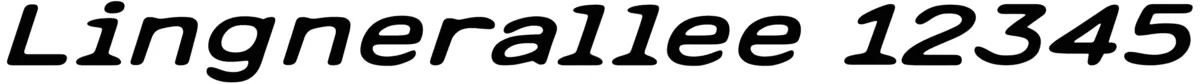 Lingnerallee 12345 Font 1