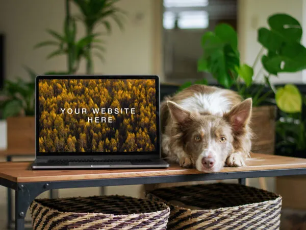 MacBook Mockup in a Room Along with a Dog 1