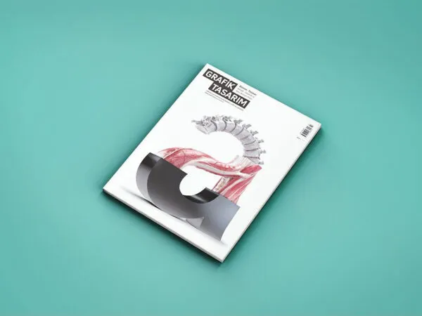 Magazine Mockup Kit in Multiple Angles 1
