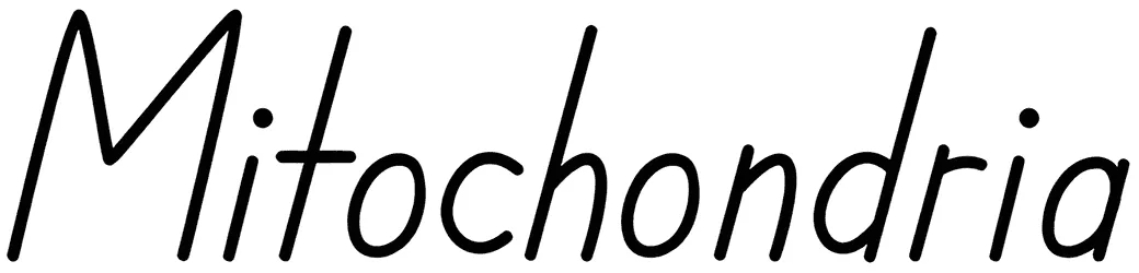 Mitochondria Font 1