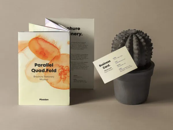 Mockup Showcasing Standing Multi Fold Brochure and Business Card Attached on a Cactus 1