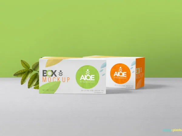 Mockup of 2 Front View Tea Packaging Boxes 1