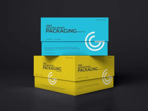 Mockup of Two Square Packaging Boxes 1