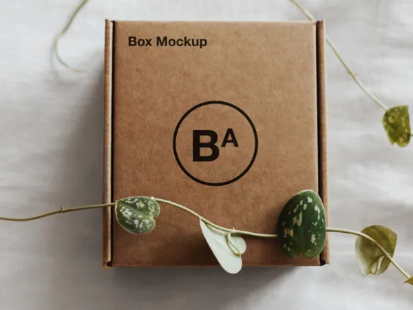 Mockup of a Craft Paper Box Decorated with Ivy 1