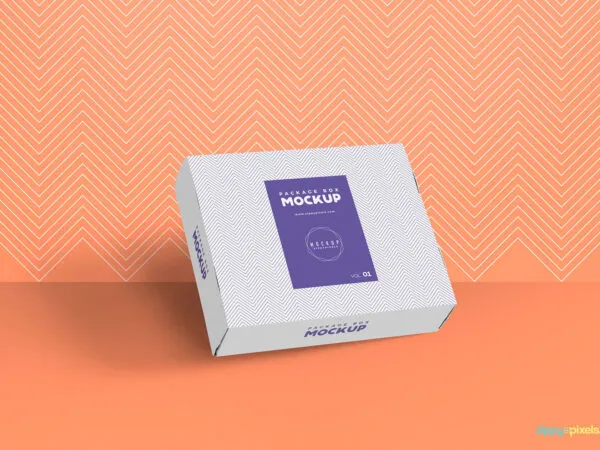 Mockup of a Packaging Box Against the Wall 1