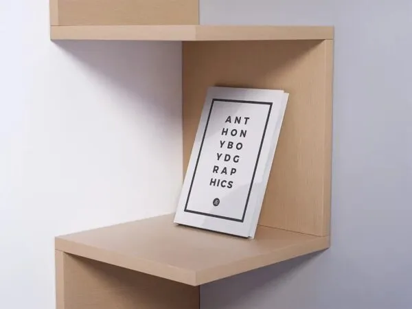 Modern Book on Shelves Mockup 1