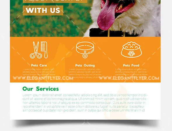 Modern Infographic Pet Shop Flyer Template and Facebook Cover 1