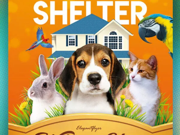 Modern Orange Animal Shelter Flyer Template 1