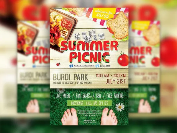 Modern Summer Picnic Flyer Template 1