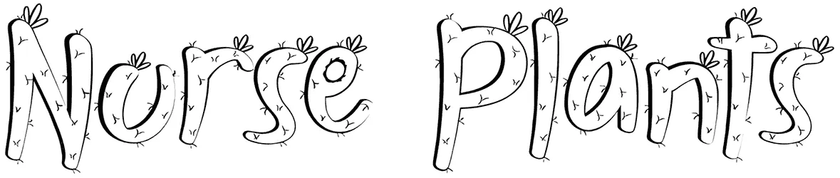Nurse Plants Font 1