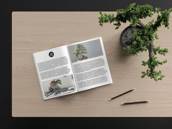 Open Catalog Magazine Beside Bonsai Tree and Pens Mockup 1