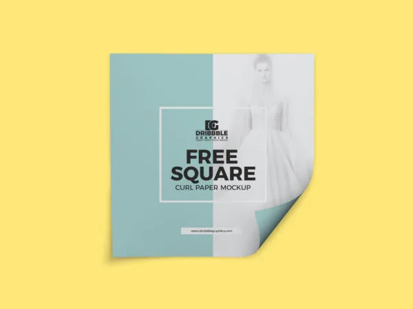 Overhead View of Square Curled Paper Mockup 1