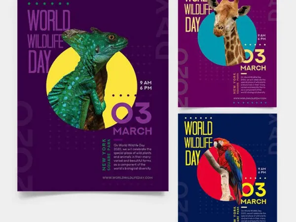 Pack of Three Playful World Wildlife Day Flyer Templates 1