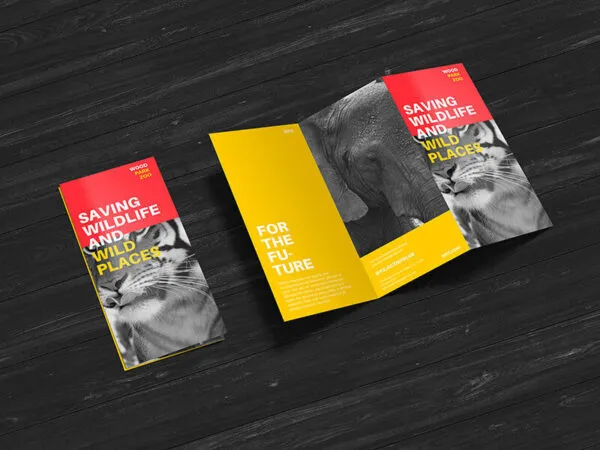 Perspective View 2 Open and Closed Z Fold Brochures Mockup 1