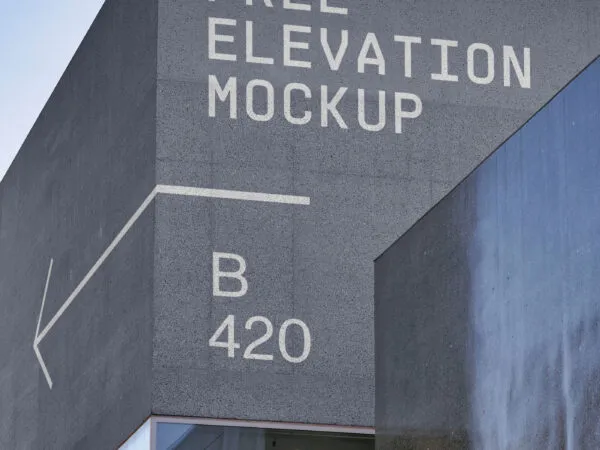 Perspective View Elevation Mockup on the Wall of the Building 1