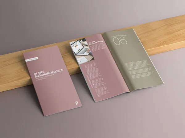 Perspective View Mockup of Two Open and Closed DL Brochures 1