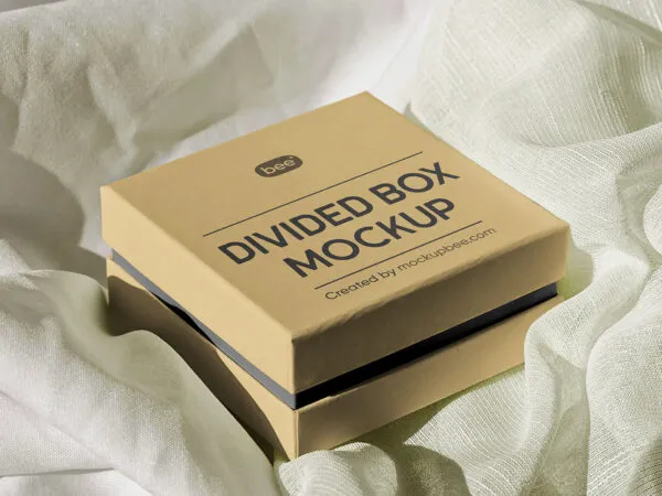 Perspective View of Divided Box Mockup 1