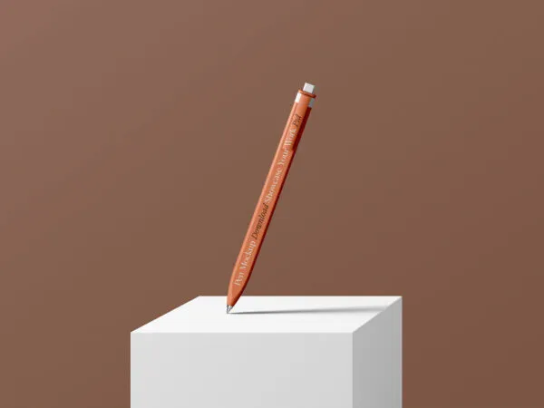 Perspective View of Standing Pen Mockup on Box 1