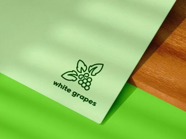 Perspective View of a Printed Logo Mockup 1