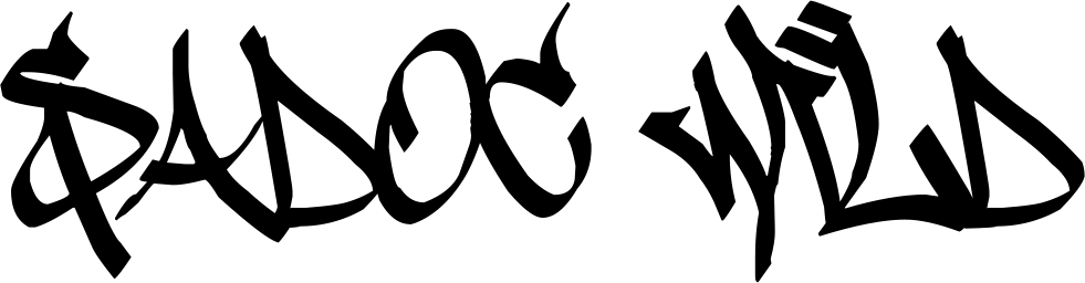 Sadoc Wild Font 1