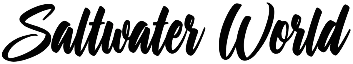 Saltwater World Font 1