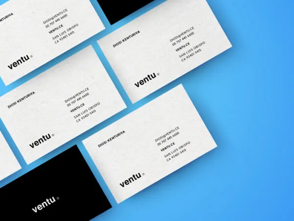 Scene of Business Cards Mockup in White and Black 1