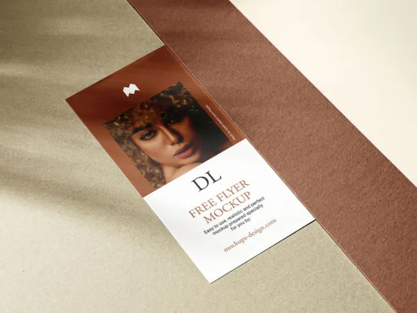 Single Dl Flyer with Cardboards Mockup 1