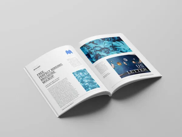 Six Mockups Showing Brochures Inner Pages and Outer Covers 1