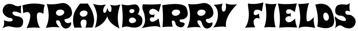 Strawberry Fields Font 1