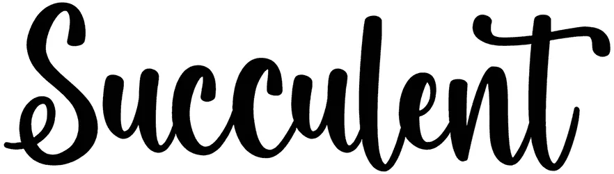 Succulent Font 1