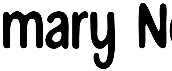 Summary Notes Font 1