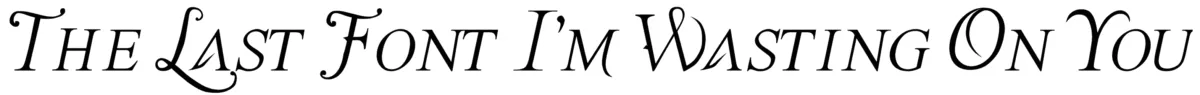 The Last Font Im Wasting On You Font 1