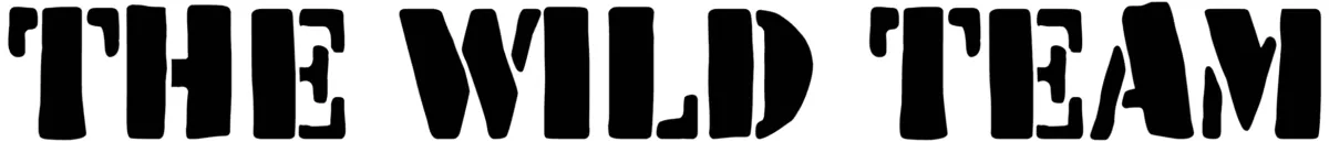 The Wild Team Font 1