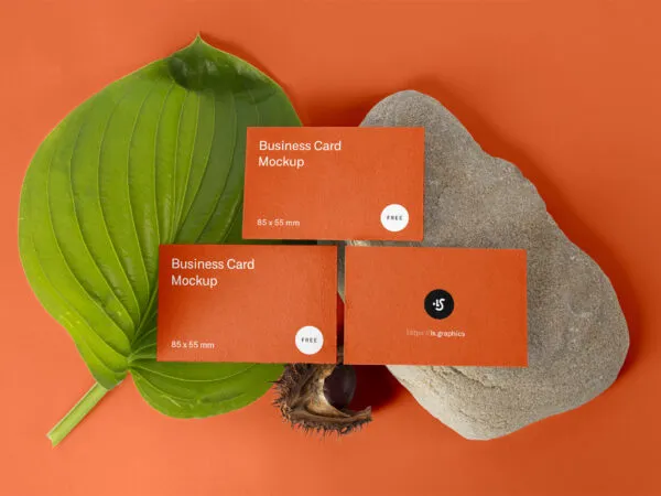 Three Business Cards Placed Infront of a Leaf Rock and Hazelnut Mockup 1