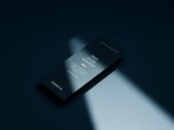Three DL Flyer from Different Angles Mockups 1