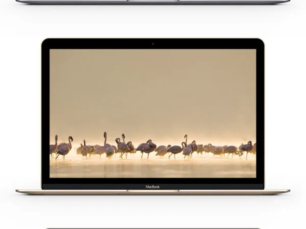 Three MacBooks Mockup with Scalable Shapes 1