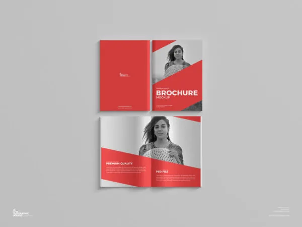 Top Scene of Saddle Stitch Brochure Mockup 1