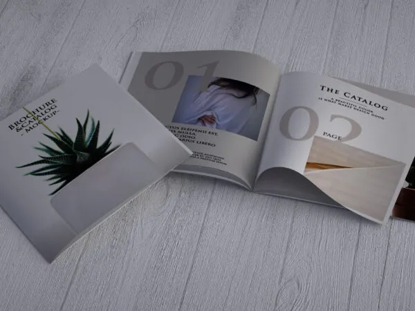 Top Side View of Two Square Catalogs on Wooden Surface 1