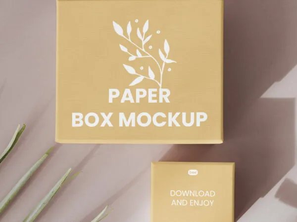 Top Sight of 2 Paper Box Mockup 1