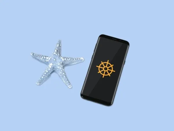 Top View Smartphone Screen Mockup Laying Next to Glassy Starfish 1
