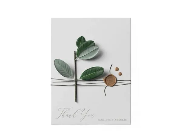 Top View of Ficus on a Waxed Envelope Mockup 1