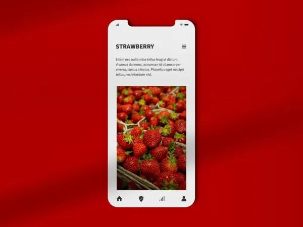 Top View of a Smartphone Display Mockup 1