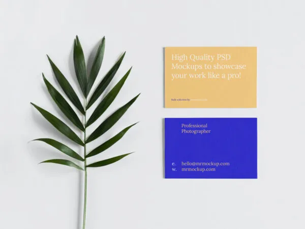 Top Vision of Business Card Mockup with Leaf 1