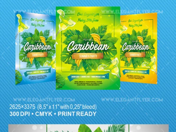 Tropical Border Caribbean Summer Party Flyer Template 1
