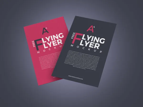 Two Flyer Floating Mid Air Mockup 1
