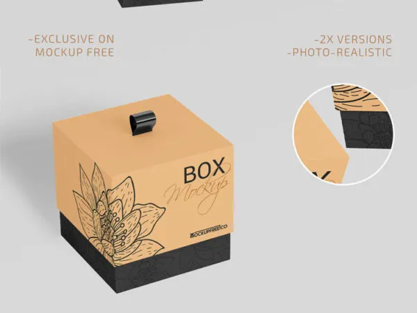 Two Mockups Featuring Perspective View of Standing and Floating Boxes 1
