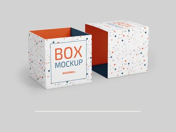 Two Mockups Showing Perspective Views of Square Boxes 1