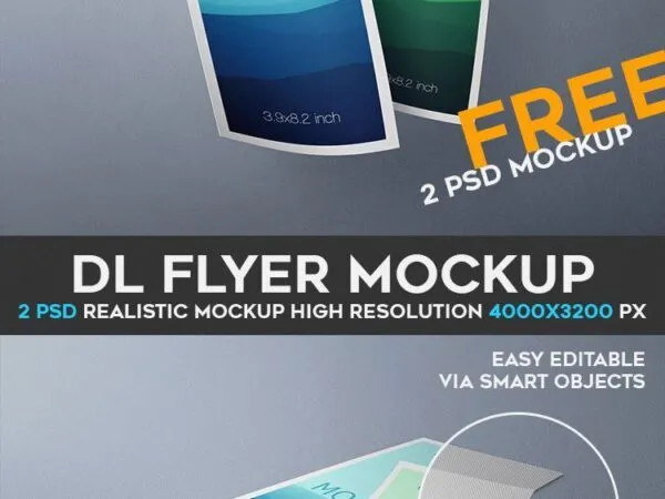 Two Mockups Showing Two Floating Dl Flyers 1